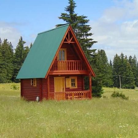 Holiday Home Jabucilo Zabljak  Bagian luar foto