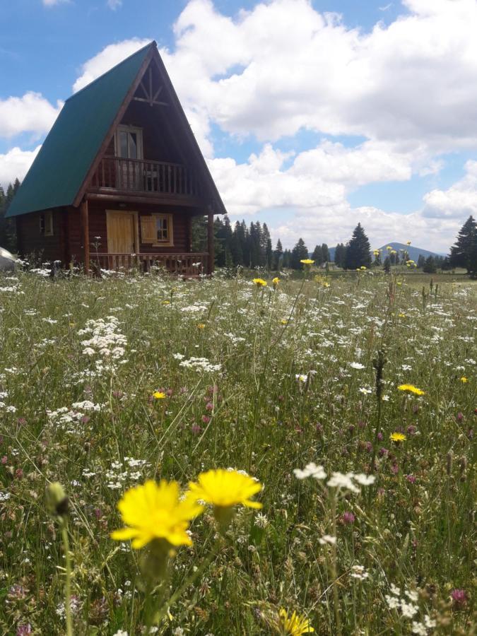 Holiday Home Jabucilo Zabljak  Bagian luar foto