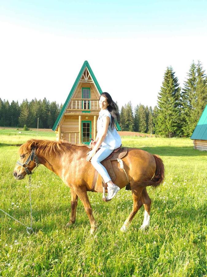 Holiday Home Jabucilo Zabljak  Bagian luar foto